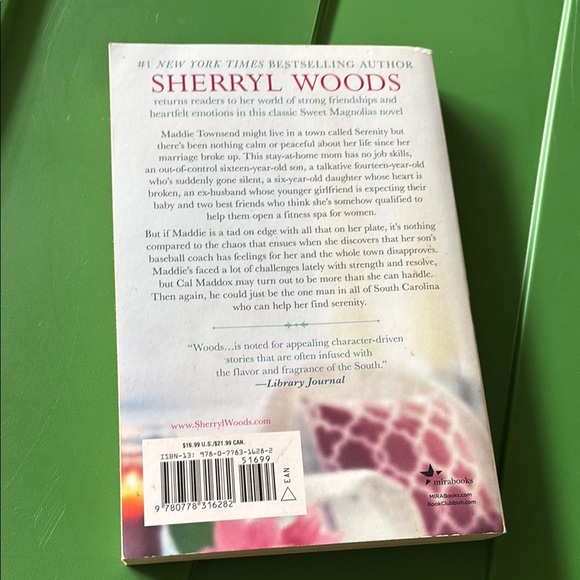 'Stealing Home' Novel- new!! - Picture 2 of 2